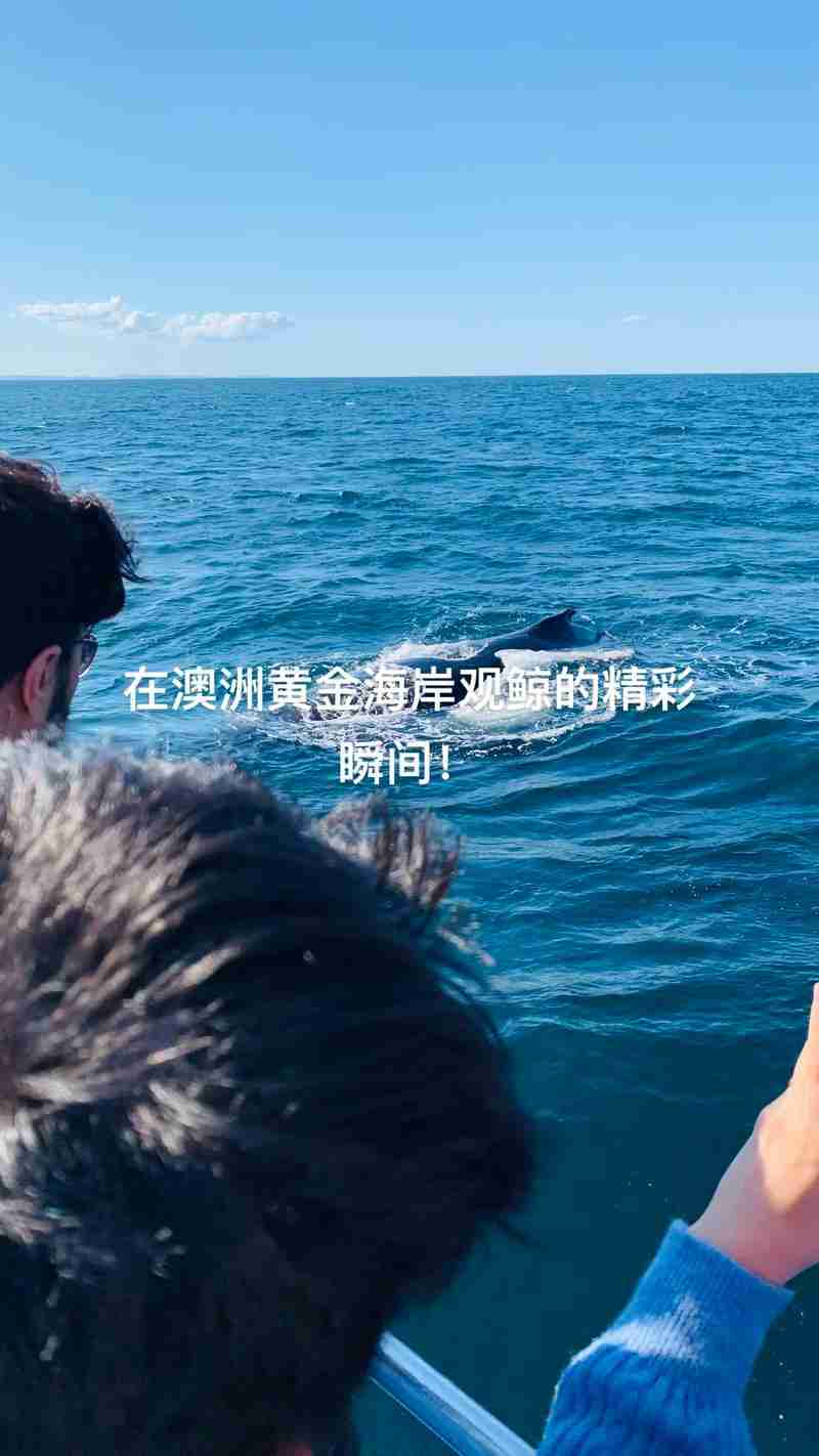 在澳洲的奇迹，运用澳洲技巧，改写你的命运