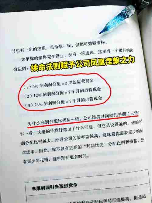 在澳洲创业总踩坑？5招避雷秘籍破解现金流困局